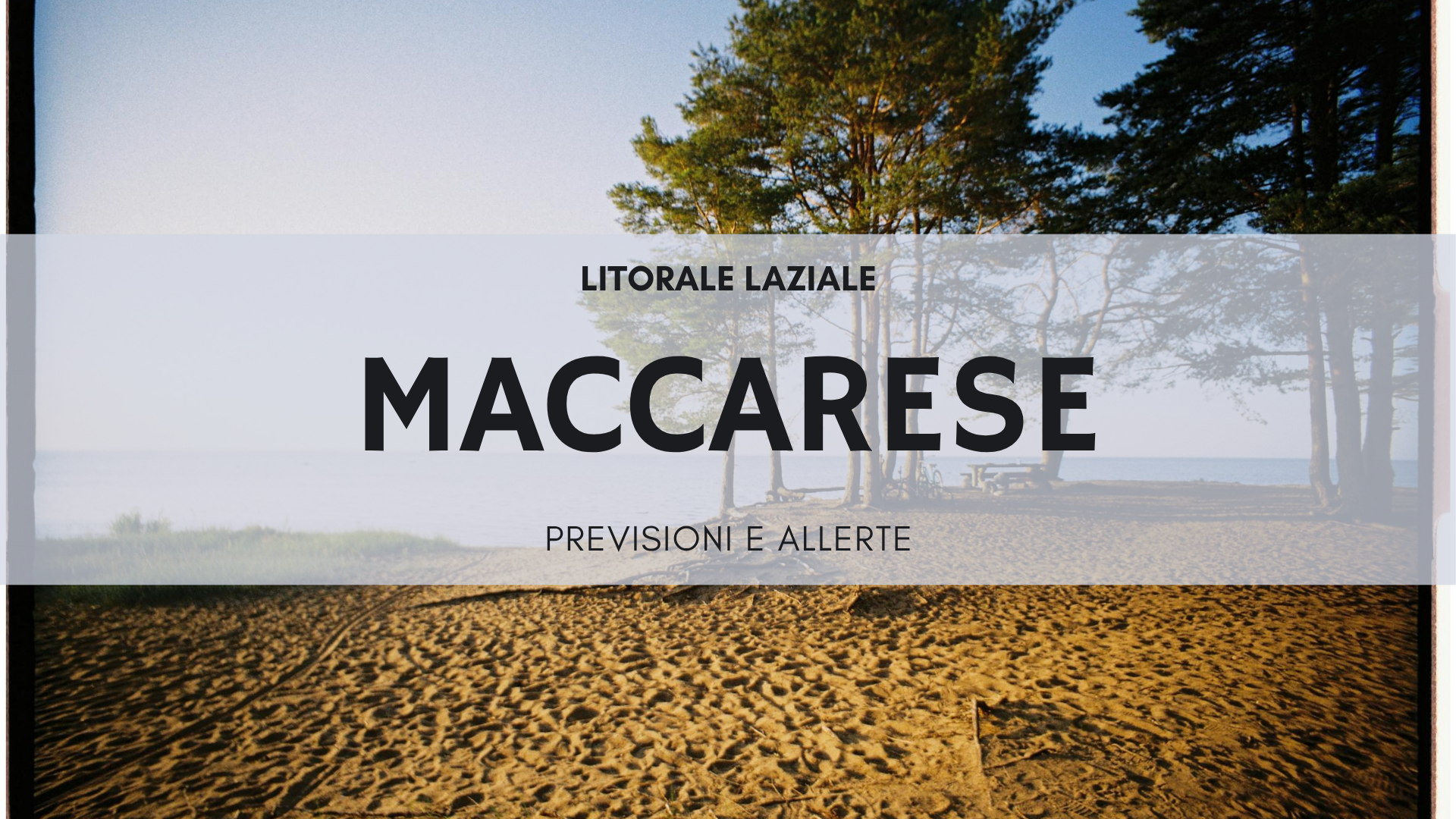 Spiaggia del litorale di Maccarese con pini marittimi, Fiumicino